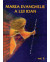 Marea Evanghelie a lui Ioan – vol. 2
