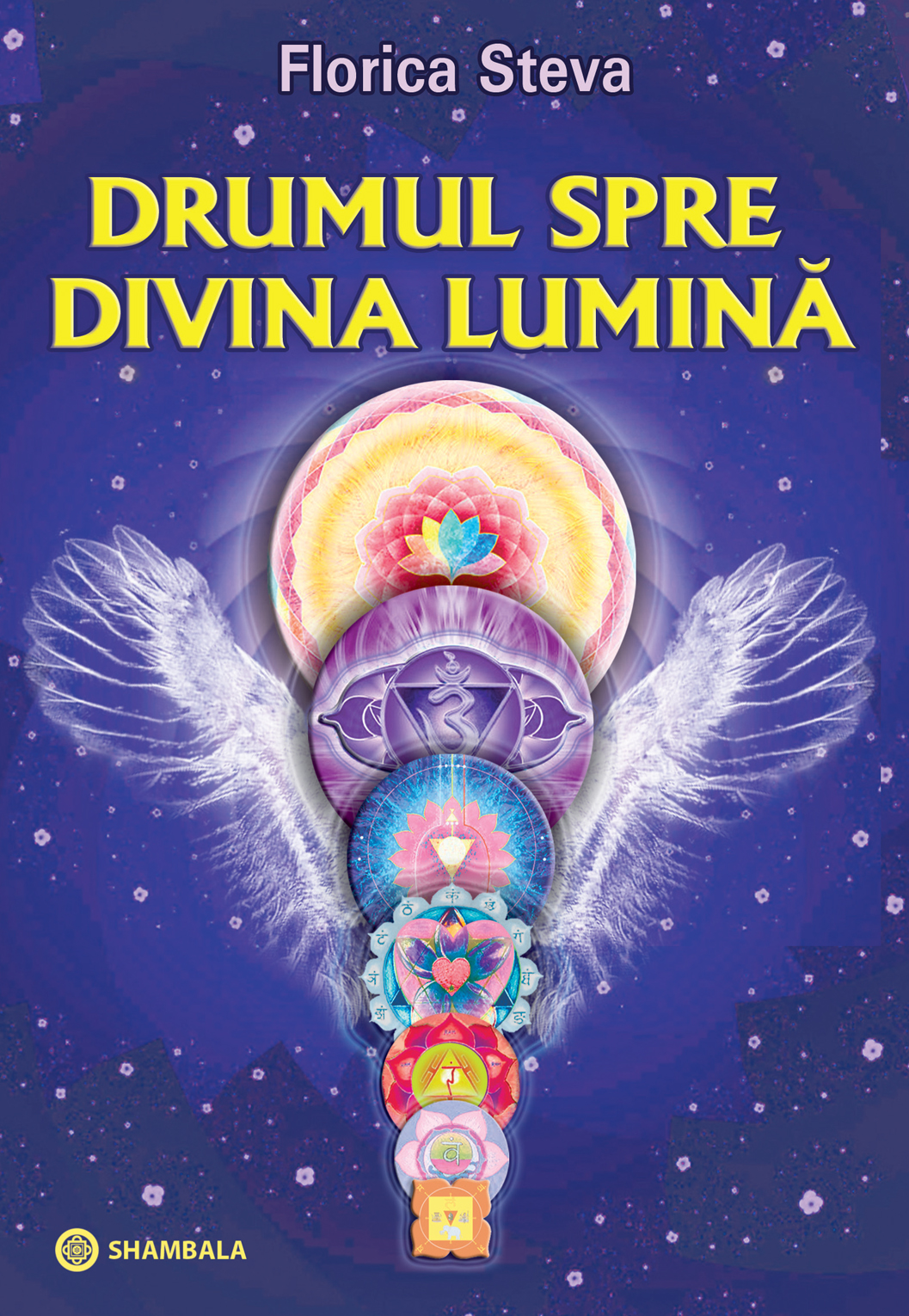 DRUMUL SPRE DIVINA LUMINĂ